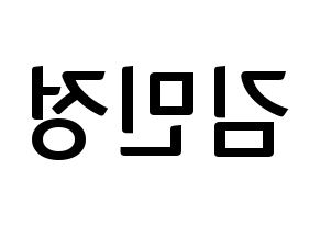 KPOP NATURE(네이처、ネイチャー) 선샤인 (サンシャイン) k-pop アイドル名前 ファンサボード 型紙 左右反転
