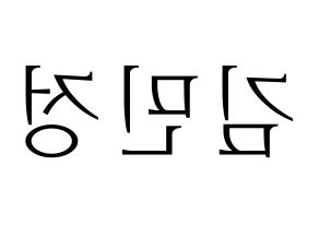 KPOP NATURE(네이처、ネイチャー) 선샤인 (サンシャイン) 応援ボード・うちわ　韓国語/ハングル文字型紙 左右反転