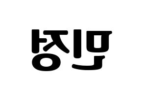 KPOP NATURE(네이처、ネイチャー) 선샤인 (サンシャイン) コンサート用　応援ボード・うちわ　韓国語/ハングル文字型紙 左右反転