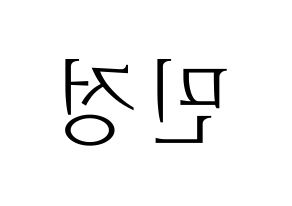 KPOP NATURE(네이처、ネイチャー) 선샤인 (サンシャイン) 応援ボード・うちわ　韓国語/ハングル文字型紙 左右反転
