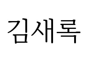 KPOP NATURE(네이처、ネイチャー) 새봄 (セボム) 応援ボード・うちわ　韓国語/ハングル文字型紙 通常
