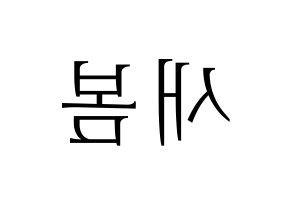 KPOP NATURE(네이처、ネイチャー) 새봄 (セボム) 応援ボード・うちわ　韓国語/ハングル文字型紙 左右反転
