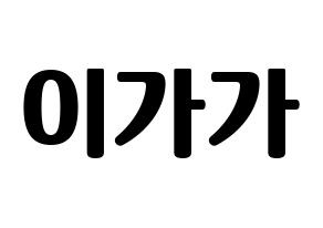 KPOP NATURE(네이처、ネイチャー) 가가 (ガガ) コンサート用　応援ボード・うちわ　韓国語/ハングル文字型紙 通常