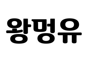 KPOP NATURE(네이처、ネイチャー) 오로라 (オーロラ) コンサート用　応援ボード・うちわ　韓国語/ハングル文字型紙 通常