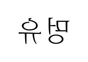 KPOP NATURE(네이처、ネイチャー) 오로라 (オーロラ) 応援ボード・うちわ　韓国語/ハングル文字型紙 左右反転