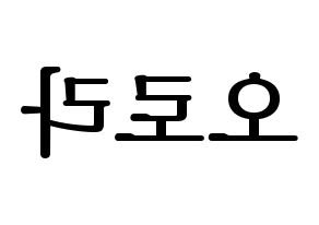 KPOP NATURE(네이처、ネイチャー) 오로라 (オーロラ) プリント用応援ボード型紙、うちわ型紙　韓国語/ハングル文字型紙 左右反転