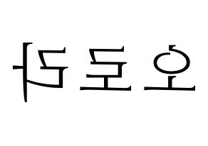 KPOP NATURE(네이처、ネイチャー) 오로라 (オーロラ) 応援ボード・うちわ　韓国語/ハングル文字型紙 左右反転