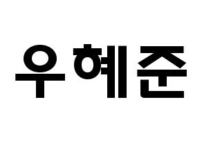 KPOP NATURE(네이처、ネイチャー) 유채 (ウ・ヘジュン, ユチェ) 応援ボード、うちわ無料型紙、応援グッズ 通常