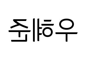 KPOP NATURE(네이처、ネイチャー) 유채 (ユチェ) コンサート用　応援ボード・うちわ　韓国語/ハングル文字型紙 左右反転