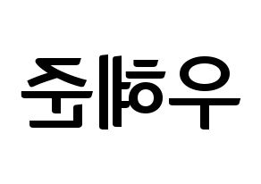 KPOP NATURE(네이처、ネイチャー) 유채 (ユチェ) k-pop アイドル名前 ファンサボード 型紙 左右反転