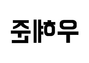 KPOP NATURE(네이처、ネイチャー) 유채 (ユチェ) k-pop アイドル名前 ファンサボード 型紙 左右反転