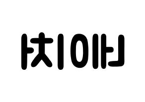 KPOP歌手 NATURE(네이처、ネイチャー) 応援ボード型紙、うちわ型紙　韓国語/ハングル文字 左右反転