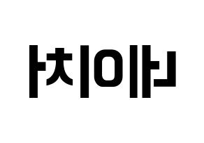 KPOP NATURE(네이처、ネイチャー) k-pop ファンサ ボード 型紙 左右反転