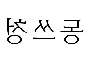 KPOP NCT(엔씨티、エヌシーティー) 윈윈 (ウィンウィン) 応援ボード・うちわ　韓国語/ハングル文字型紙 左右反転