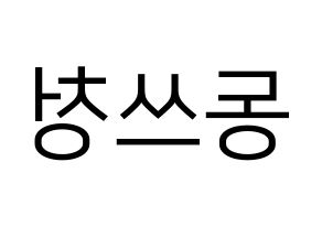 KPOP NCT(엔씨티、エヌシーティー) 윈윈 (ウィンウィン) プリント用応援ボード型紙、うちわ型紙　韓国語/ハングル文字型紙 左右反転