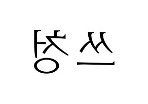 KPOP NCT(엔씨티、エヌシーティー) 윈윈 (ウィンウィン) 応援ボード・うちわ　韓国語/ハングル文字型紙 左右反転