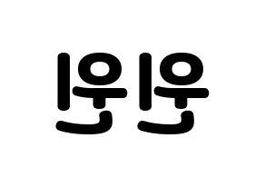 KPOP NCT(엔씨티、エヌシーティー) 윈윈 (ウィンウィン) 応援ボード・うちわ　韓国語/ハングル文字型紙 左右反転