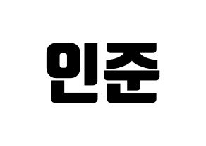 KPOP NCT(엔씨티、エヌシーティー) 런쥔 (ロンジュン) コンサート用　応援ボード・うちわ　韓国語/ハングル文字型紙 通常