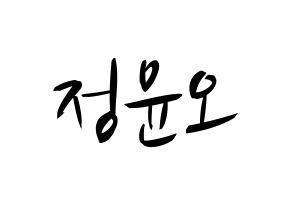 KPOP NCT(엔씨티、エヌシーティー) 재현 (ジェヒョン) k-pop 応援ボード メッセージ 型紙 通常