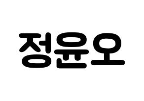 KPOP NCT(엔씨티、エヌシーティー) 재현 (チョン・ユノ(ユンオ), ジェヒョン) 応援ボード、うちわ無料型紙、応援グッズ 通常