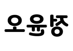 KPOP NCT(엔씨티、エヌシーティー) 재현 (ジェヒョン) 応援ボード・うちわ　韓国語/ハングル文字型紙 左右反転