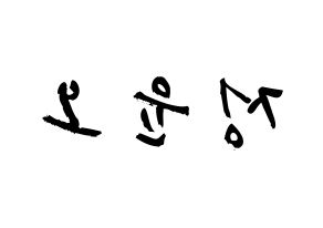 KPOP NCT(엔씨티、エヌシーティー) 재현 (チョン・ユノ(ユンオ), ジェヒョン) 応援ボード、うちわ無料型紙、応援グッズ 左右反転