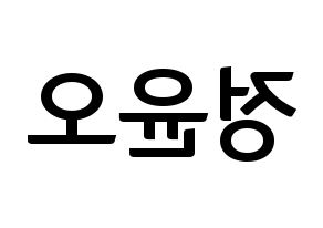 KPOP NCT(엔씨티、エヌシーティー) 재현 (ジェヒョン) k-pop アイドル名前 ファンサボード 型紙 左右反転