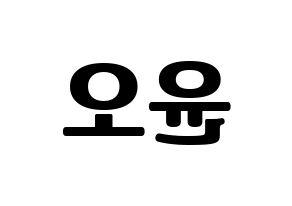 KPOP NCT(엔씨티、エヌシーティー) 재현 (ジェヒョン) コンサート用　応援ボード・うちわ　韓国語/ハングル文字型紙 左右反転