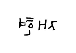 KPOP NCT(엔씨티、エヌシーティー) 재현 (ジェヒョン) 応援ボード ハングル 型紙  左右反転