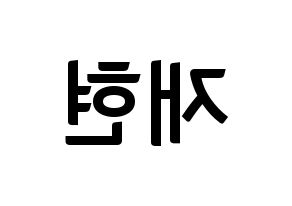 KPOP NCT(엔씨티、エヌシーティー) 재현 (ジェヒョン) k-pop アイドル名前 ファンサボード 型紙 左右反転