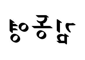 KPOP NCT(엔씨티、エヌシーティー) 도영 (ドヨン) 応援ボード ハングル 型紙  左右反転