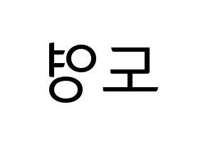 KPOP NCT(엔씨티、エヌシーティー) 도영 (ドヨン) コンサート用　応援ボード・うちわ　韓国語/ハングル文字型紙 左右反転