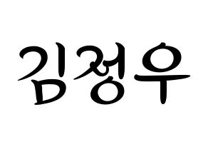 KPOP NCT(엔씨티、エヌシーティー) 정우 (ジョンウ) k-pop 応援ボード メッセージ 型紙 通常