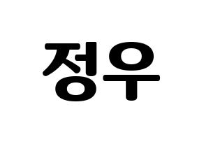 KPOP NCT(엔씨티、エヌシーティー) 정우 (ジョンウ) コンサート用　応援ボード・うちわ　韓国語/ハングル文字型紙 通常
