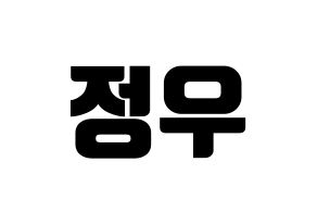 KPOP NCT(엔씨티、エヌシーティー) 정우 (ジョンウ) コンサート用　応援ボード・うちわ　韓国語/ハングル文字型紙 通常