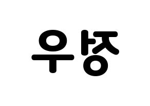 KPOP NCT(엔씨티、エヌシーティー) 정우 (ジョンウ) 応援ボード・うちわ　韓国語/ハングル文字型紙 左右反転