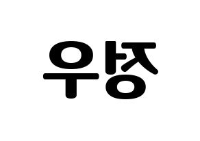 KPOP NCT(엔씨티、エヌシーティー) 정우 (ジョンウ) コンサート用　応援ボード・うちわ　韓国語/ハングル文字型紙 左右反転