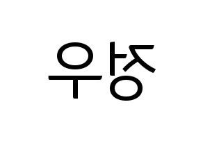 KPOP NCT(엔씨티、エヌシーティー) 정우 (ジョンウ) コンサート用　応援ボード・うちわ　韓国語/ハングル文字型紙 左右反転