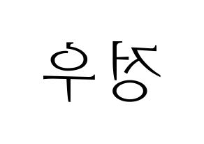 KPOP NCT(엔씨티、エヌシーティー) 정우 (ジョンウ) 応援ボード・うちわ　韓国語/ハングル文字型紙 左右反転