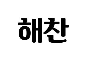 KPOP NCT(엔씨티、エヌシーティー) 해찬 (ヘチャン) コンサート用　応援ボード・うちわ　韓国語/ハングル文字型紙 通常