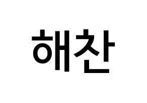 KPOP NCT(엔씨티、エヌシーティー) 해찬 (イ・ドンヒョク, ヘチャン) 無料サイン会用、イベント会用応援ボード型紙 通常