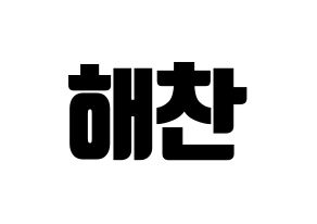 KPOP NCT(엔씨티、エヌシーティー) 해찬 (ヘチャン) コンサート用　応援ボード・うちわ　韓国語/ハングル文字型紙 通常