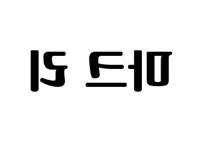 KPOP NCT(엔씨티、エヌシーティー) 마크 (マーク) コンサート用　応援ボード・うちわ　韓国語/ハングル文字型紙 左右反転