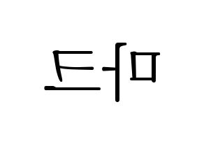 KPOP NCT(엔씨티、エヌシーティー) 마크 (マーク) 応援ボード・うちわ　韓国語/ハングル文字型紙 左右反転