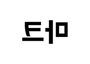 KPOP NCT(엔씨티、エヌシーティー) 마크 (マーク) k-pop アイドル名前 ファンサボード 型紙 左右反転