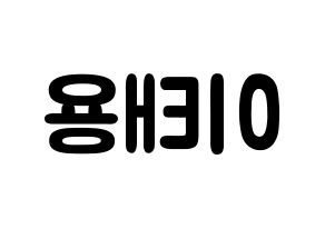 KPOP NCT(엔씨티、エヌシーティー) 태용 (イ・テヨン, テヨン) 応援ボード、うちわ無料型紙、応援グッズ 左右反転