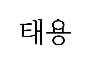 KPOP NCT(엔씨티、エヌシーティー) 태용 (テヨン) 応援ボード・うちわ　韓国語/ハングル文字型紙 通常