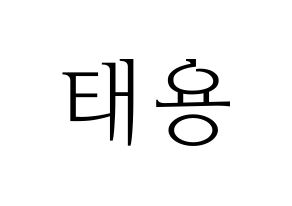 KPOP NCT(엔씨티、エヌシーティー) 태용 (テヨン) 応援ボード・うちわ　韓国語/ハングル文字型紙 通常