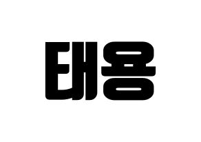 KPOP NCT(엔씨티、エヌシーティー) 태용 (テヨン) コンサート用　応援ボード・うちわ　韓国語/ハングル文字型紙 通常