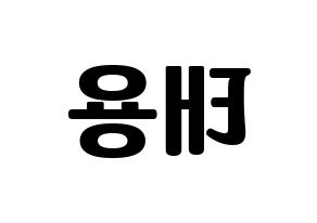KPOP NCT(엔씨티、エヌシーティー) 태용 (テヨン) コンサート用　応援ボード・うちわ　韓国語/ハングル文字型紙 左右反転